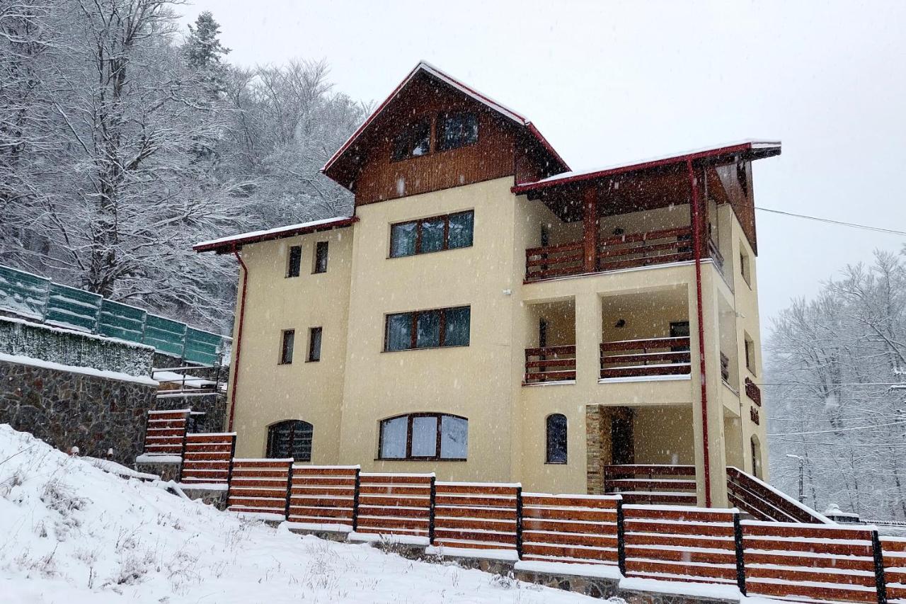 Hotel Casa Raisa Buşteni Zewnętrze zdjęcie